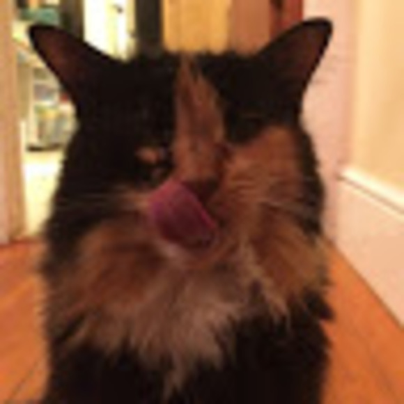 Meet your Posher, Alexandra - Picture 1 of 1